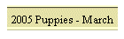 2005 Puppies - March