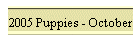 2005 Puppies - October