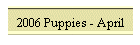 2006 Puppies - April