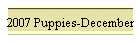 2007 Puppies-December