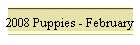 2008 Puppies - February