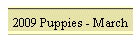 2009 Puppies - March